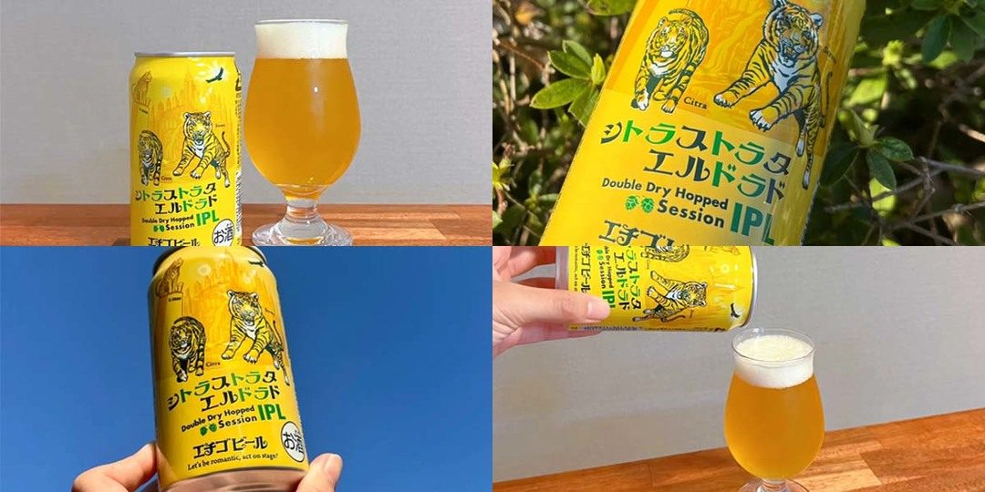 4月19日発売】エチゴビール新作『シトラストラタエルドラドIPL』を