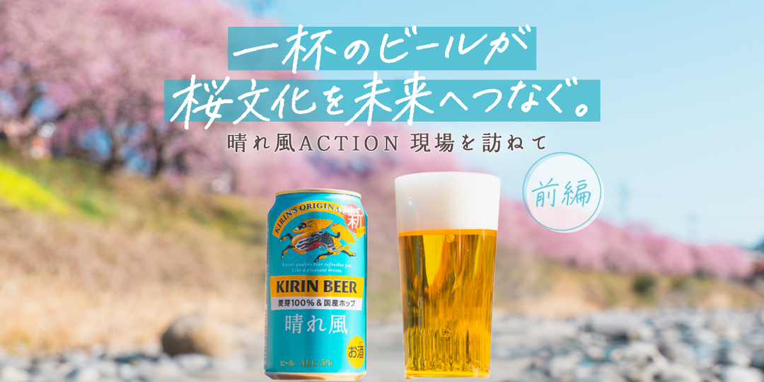 【前編】キリンビール「晴れ風」が日本の桜文化を未来へつなぐ。 “晴れ風ACTION”の現場・静岡県河津町を訪ねて