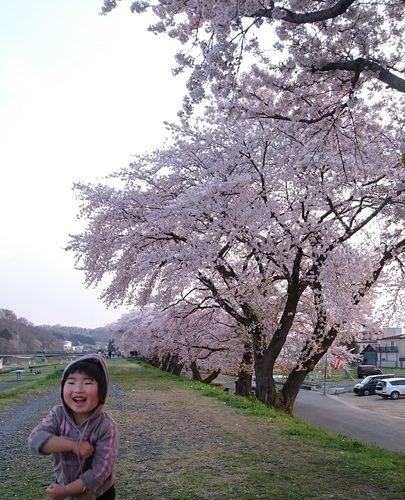 国内外で大反響！家でお花見気分が味わえる「桜嵐IPA」を飲んでみた